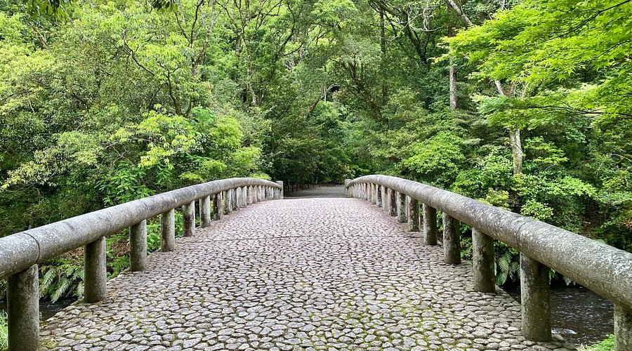 👑 아이 산 위 능 (아이란 산료) 이미지 5